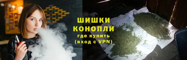мдпв Надым