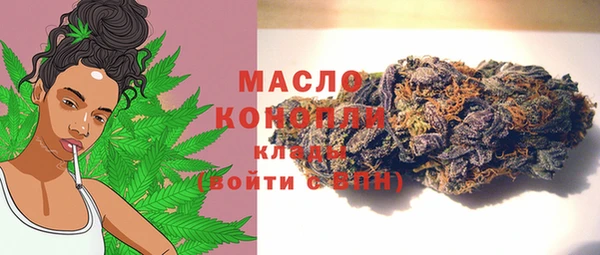 мдпв Надым